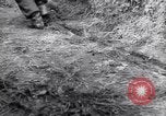 Image of German troops France, 1944, second 30 stock footage video 65675034866