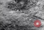 Image of German troops France, 1944, second 33 stock footage video 65675034866