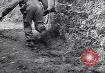 Image of German troops France, 1944, second 35 stock footage video 65675034866