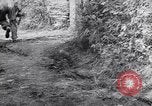 Image of German troops France, 1944, second 36 stock footage video 65675034866