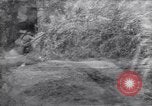 Image of German troops France, 1944, second 43 stock footage video 65675034866
