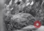Image of German troops France, 1944, second 44 stock footage video 65675034866
