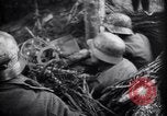 Image of German troops France, 1944, second 47 stock footage video 65675034866