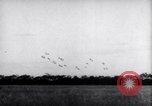 Image of German troops France, 1944, second 49 stock footage video 65675034866