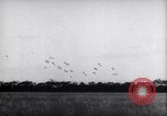 Image of German troops France, 1944, second 50 stock footage video 65675034866