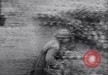 Image of German defenders France, 1944, second 9 stock footage video 65675034867
