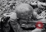 Image of German defenders France, 1944, second 12 stock footage video 65675034867