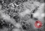 Image of German defenders France, 1944, second 23 stock footage video 65675034867