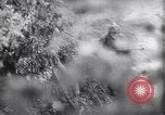 Image of German defenders France, 1944, second 24 stock footage video 65675034867