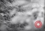 Image of German defenders France, 1944, second 25 stock footage video 65675034867
