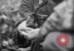 Image of German defenders France, 1944, second 35 stock footage video 65675034867