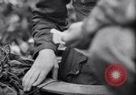 Image of German defenders France, 1944, second 38 stock footage video 65675034867