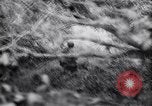 Image of German defenders France, 1944, second 46 stock footage video 65675034867