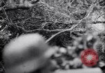 Image of German defenders France, 1944, second 48 stock footage video 65675034867