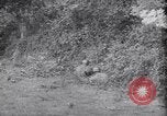 Image of German defenders France, 1944, second 50 stock footage video 65675034867
