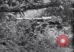 Image of German defenders France, 1944, second 51 stock footage video 65675034867