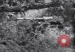 Image of German defenders France, 1944, second 52 stock footage video 65675034867
