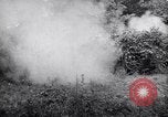 Image of German defenders France, 1944, second 53 stock footage video 65675034867