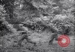 Image of German defenders France, 1944, second 61 stock footage video 65675034867