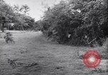 Image of German defenders France, 1944, second 62 stock footage video 65675034867