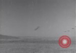 Standbild 14 USAAF Fighter Group Algerien Nordafrika, 1943, aus Sekunde 5 historischem Filmmaterial Videoclip 65675034869