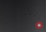Standbild 14 USAAF Fighter Group Algerien Nordafrika, 1943, aus Sekunde 34 historischem Filmmaterial Videoclip 65675034869