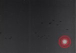 Standbild 14 USAAF Fighter Group Algerien Nordafrika, 1943, aus Sekunde 35 historischem Filmmaterial Videoclip 65675034869