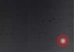 Standbild 14 USAAF Fighter Group Algerien Nordafrika, 1943, aus Sekunde 37 historischem Filmmaterial Videoclip 65675034869