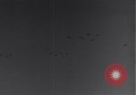 Standbild 14 USAAF Fighter Group Algerien Nordafrika, 1943, aus Sekunde 41 historischem Filmmaterial Videoclip 65675034869
