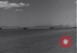 Standbild 14 Fighter Group Algerien Nordafrika, 1943, aus Sekunde 17 historischem Filmmaterial Videoclip 65675034870