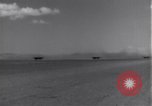 Standbild 14 Fighter Group Algerien Nordafrika, 1943, aus Sekunde 18 historischem Filmmaterial Videoclip 65675034870