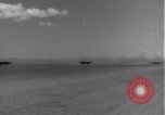 Standbild 14 Fighter Group Algerien Nordafrika, 1943, aus Sekunde 20 historischem Filmmaterial Videoclip 65675034870