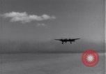 Standbild 14 Fighter Group Algerien Nordafrika, 1943, aus Sekunde 27 historischem Filmmaterial Videoclip 65675034870