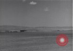 Standbild 14 Fighter Group Algerien Nordafrika, 1943, aus Sekunde 50 historischem Filmmaterial Videoclip 65675034870