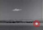Standbild 14 Fighter Group Algerien Nordafrika, 1943, aus Sekunde 53 historischem Filmmaterial Videoclip 65675034870
