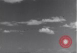 Image USAAF 14e Groupe de chasse l'Algérie Afrique du Nord, 1943, de la seconde 3 séquences d'archives historiques vidéo 65675034871
