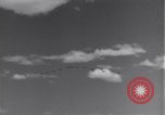 Image USAAF 14e Groupe de chasse l'Algérie Afrique du Nord, 1943, de la seconde 4 séquences d'archives historiques vidéo 65675034871