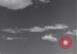 Image USAAF 14e Groupe de chasse l'Algérie Afrique du Nord, 1943, de la seconde 5 séquences d'archives historiques vidéo 65675034871