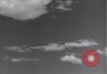 Image USAAF 14e Groupe de chasse l'Algérie Afrique du Nord, 1943, de la seconde 7 séquences d'archives historiques vidéo 65675034871