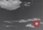 Image USAAF 14e Groupe de chasse l'Algérie Afrique du Nord, 1943, de la seconde 8 séquences d'archives historiques vidéo 65675034871