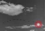 Image USAAF 14e Groupe de chasse l'Algérie Afrique du Nord, 1943, de la seconde 10 séquences d'archives historiques vidéo 65675034871