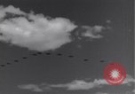 Image USAAF 14e Groupe de chasse l'Algérie Afrique du Nord, 1943, de la seconde 11 séquences d'archives historiques vidéo 65675034871