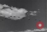 Image USAAF 14e Groupe de chasse l'Algérie Afrique du Nord, 1943, de la seconde 12 séquences d'archives historiques vidéo 65675034871