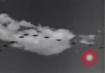 Image USAAF 14e Groupe de chasse l'Algérie Afrique du Nord, 1943, de la seconde 13 séquences d'archives historiques vidéo 65675034871