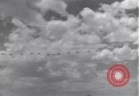 Image USAAF 14e Groupe de chasse l'Algérie Afrique du Nord, 1943, de la seconde 28 séquences d'archives historiques vidéo 65675034871