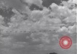 Image USAAF 14e Groupe de chasse l'Algérie Afrique du Nord, 1943, de la seconde 29 séquences d'archives historiques vidéo 65675034871