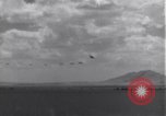 Image USAAF 14e Groupe de chasse l'Algérie Afrique du Nord, 1943, de la seconde 31 séquences d'archives historiques vidéo 65675034871