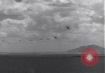 Image USAAF 14e Groupe de chasse l'Algérie Afrique du Nord, 1943, de la seconde 32 séquences d'archives historiques vidéo 65675034871