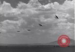 Image USAAF 14e Groupe de chasse l'Algérie Afrique du Nord, 1943, de la seconde 35 séquences d'archives historiques vidéo 65675034871