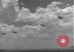 Image USAAF 14e Groupe de chasse l'Algérie Afrique du Nord, 1943, de la seconde 37 séquences d'archives historiques vidéo 65675034871